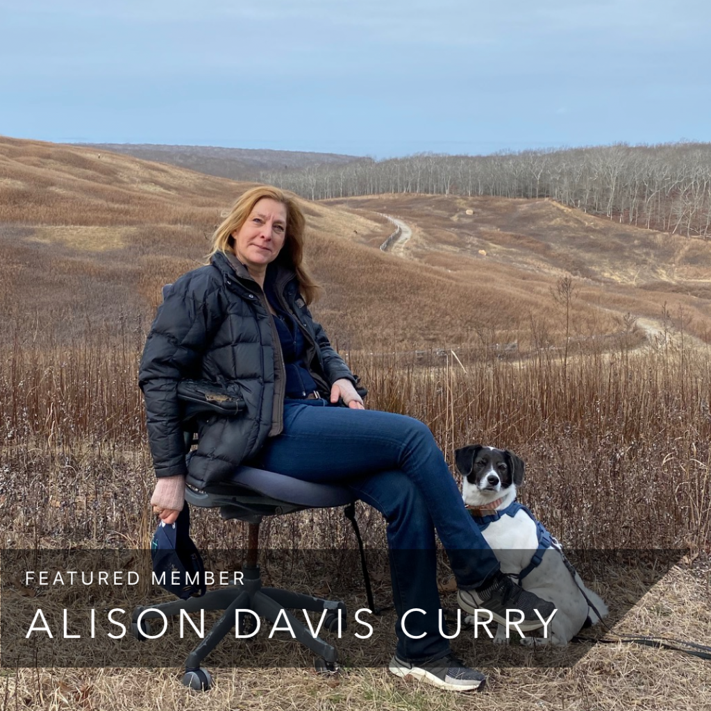 The Second Shift Featured Member: Alison Davis Curry | The Second Shift